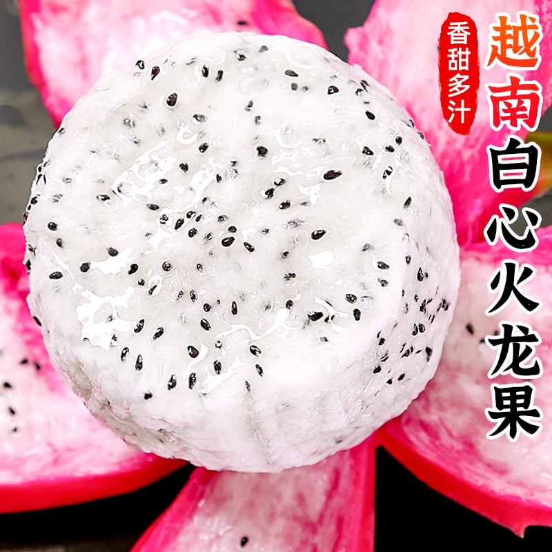 【甜蜜多汁】越南白心火龙果2-9斤新鲜水果白肉火龙果燕窝果麒麟果