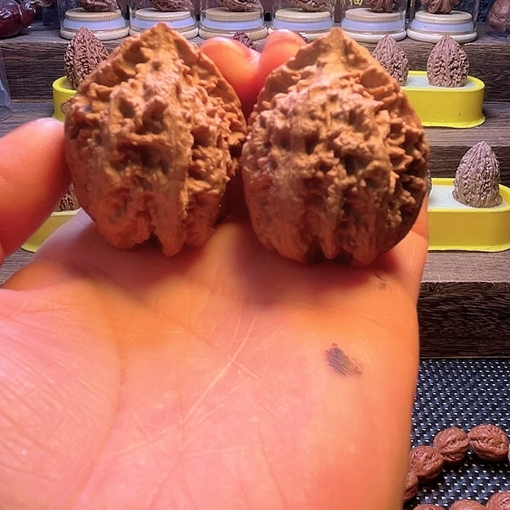 核桃8号车放漏漏漏