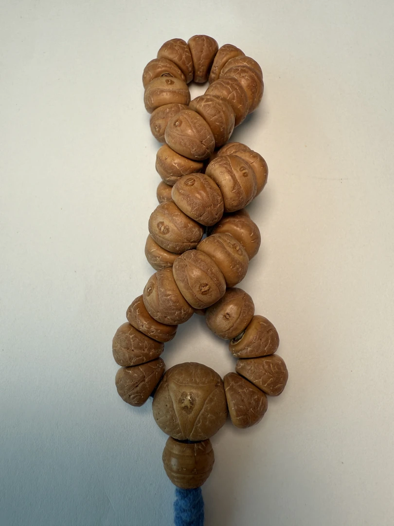 尼泊尔凤眼菩提 11+mm 手搓大肠