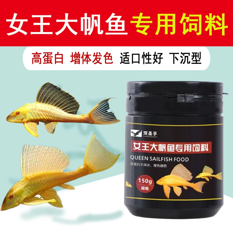 女王大帆鱼饲料专用鱼粮幼鱼鱼苗清道夫高蛋白鱼食开口下沉发色