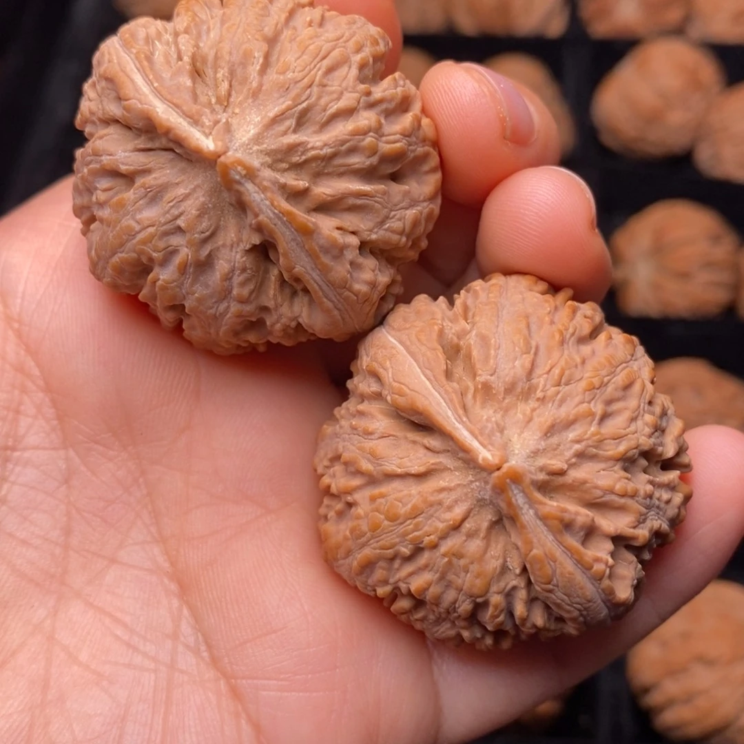 文玩核桃吊坠秦岭野生核桃