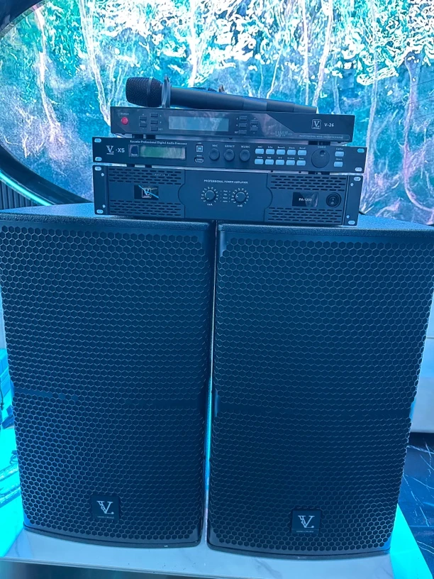 9新  不包邮15寸德国威点高端钕磁喇叭单元四件套