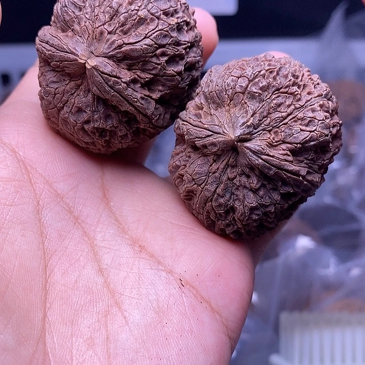 文玩核桃把件   100
