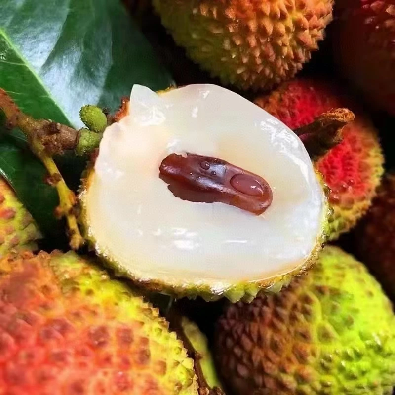 【顺丰快递】妃子笑荔枝核小肉厚广东产地直发新鲜采摘