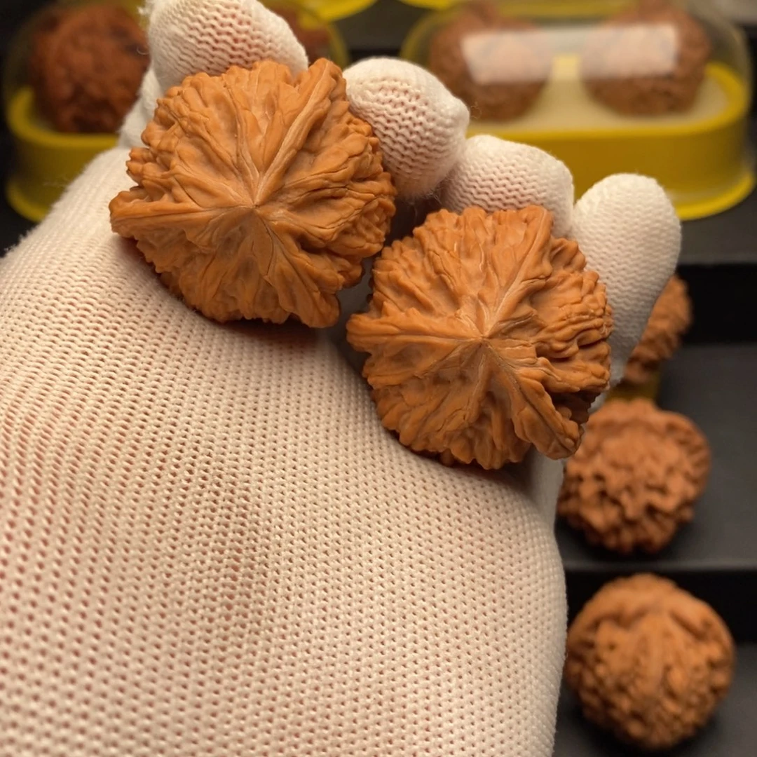 吊坠文玩核桃40御龙正奔