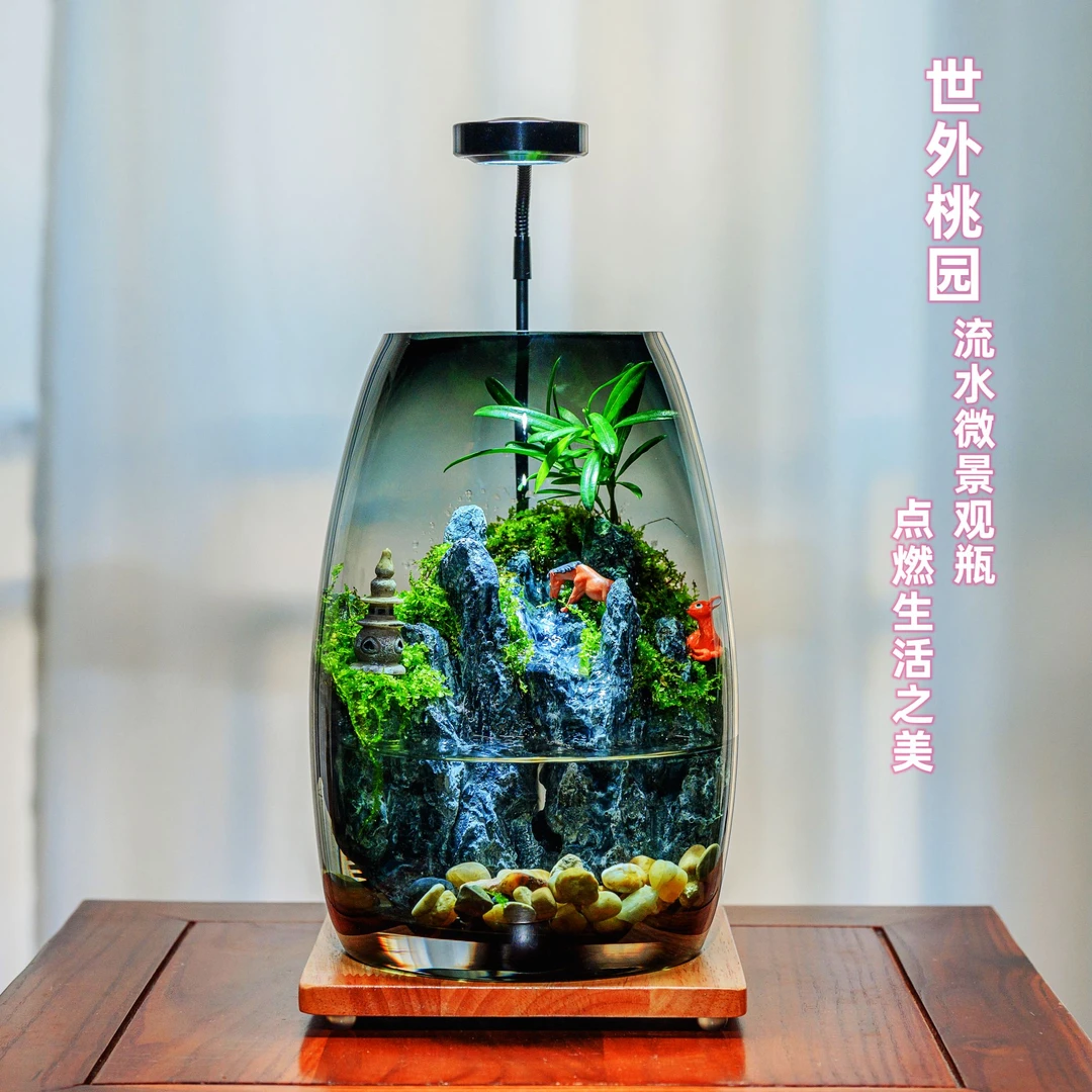 世外桃源苔藓微景观生态瓶创意造景室内桌面绿植盆栽