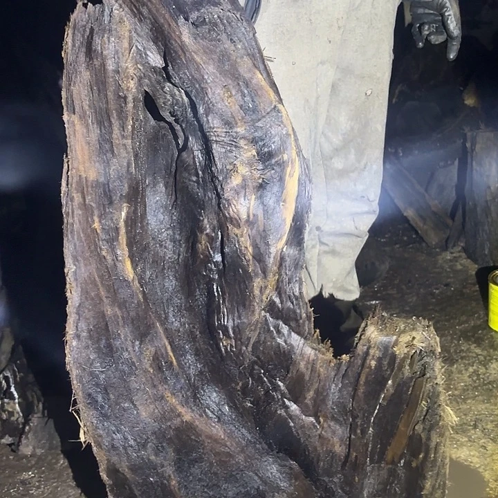 不***卿乌木金丝楠摆件毛料