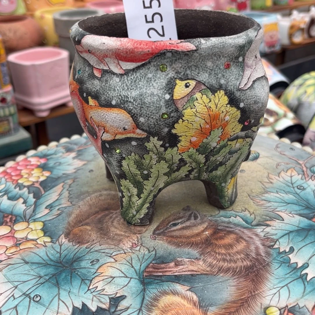 丽****255多肉花盆   1个