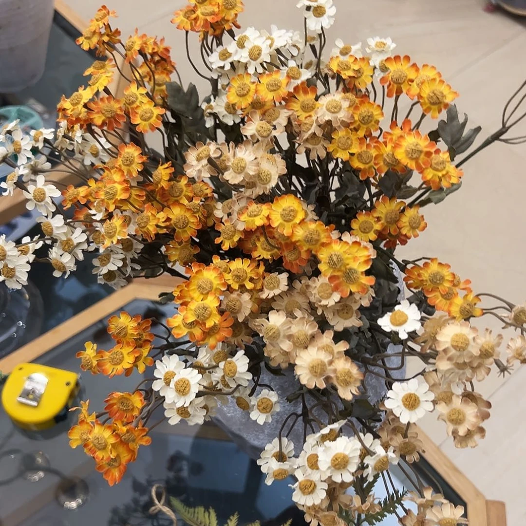 抖音直播福利十支混色