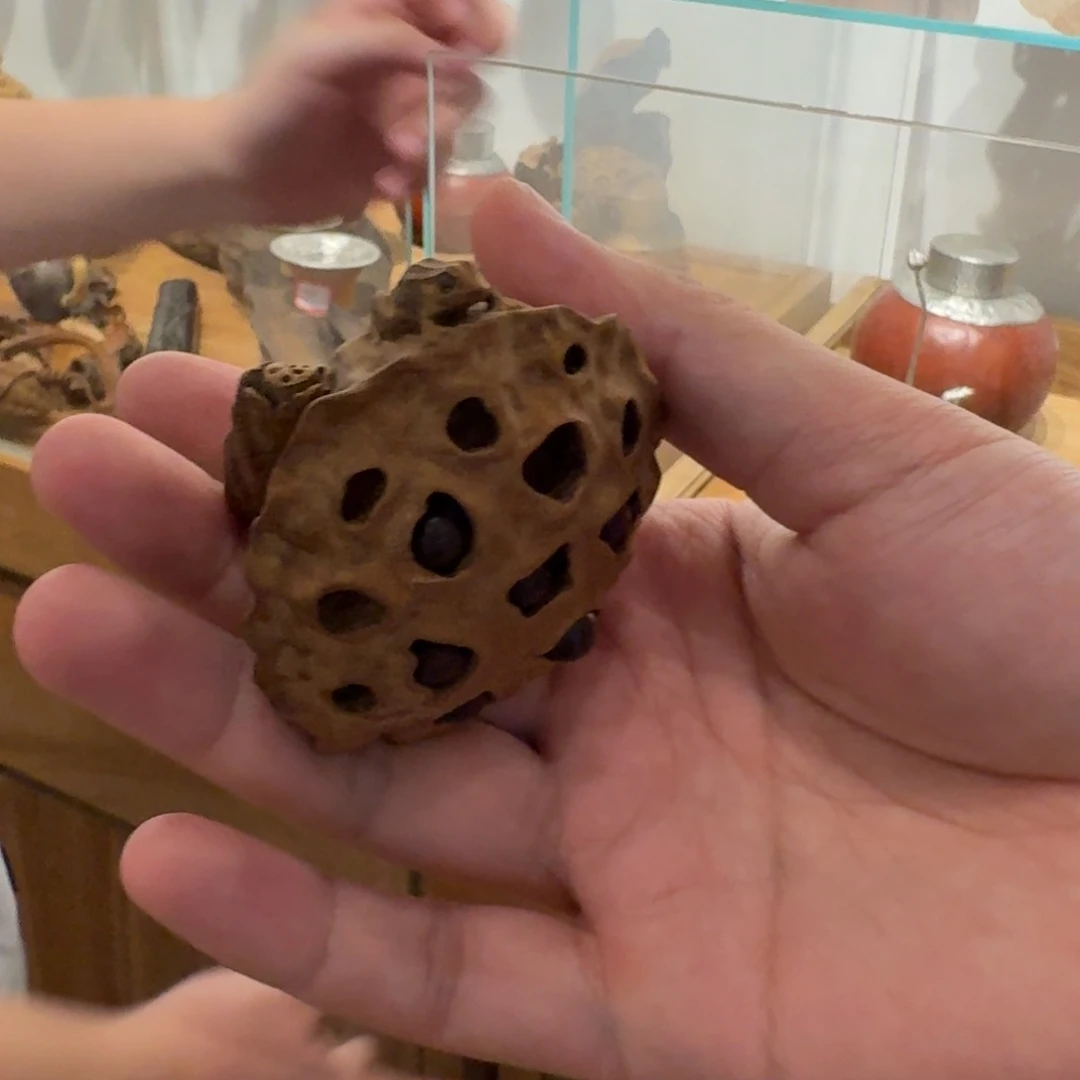 茶周边茶周边茶周边茶周边