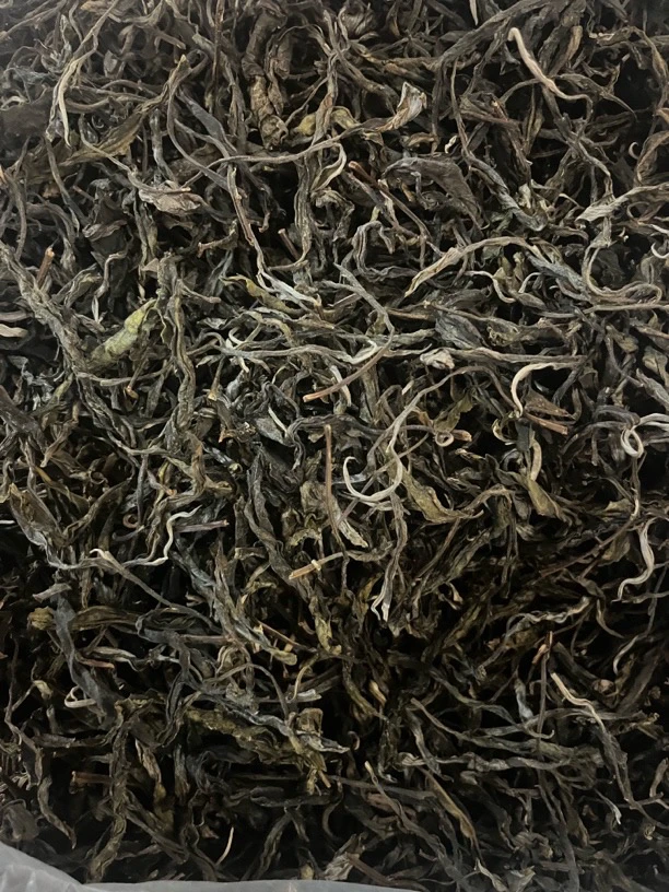 (试喝25克）麻栗坡茶坪山核心区域（2025古树头春头采）500克散茶