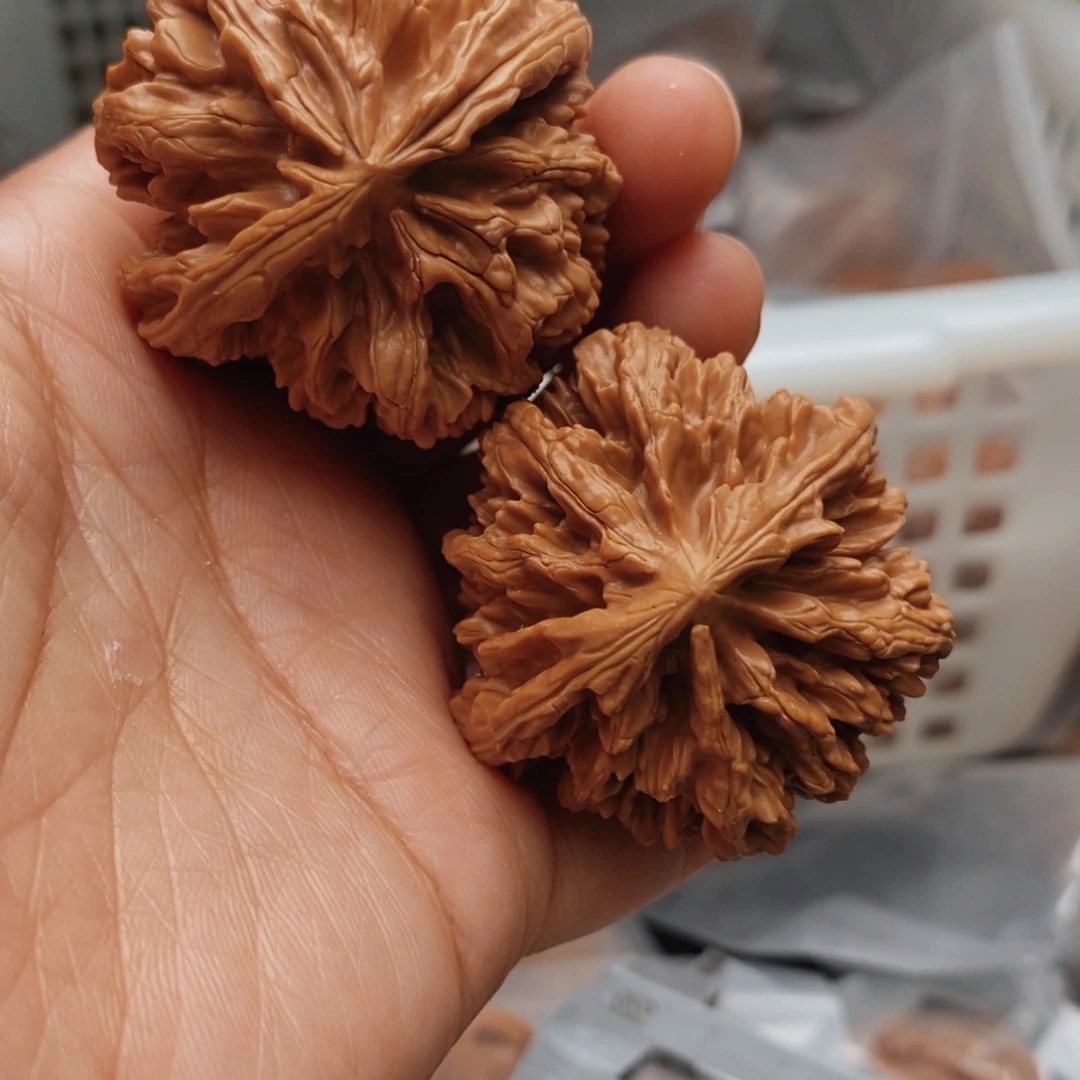 文玩核桃把件花王42尺