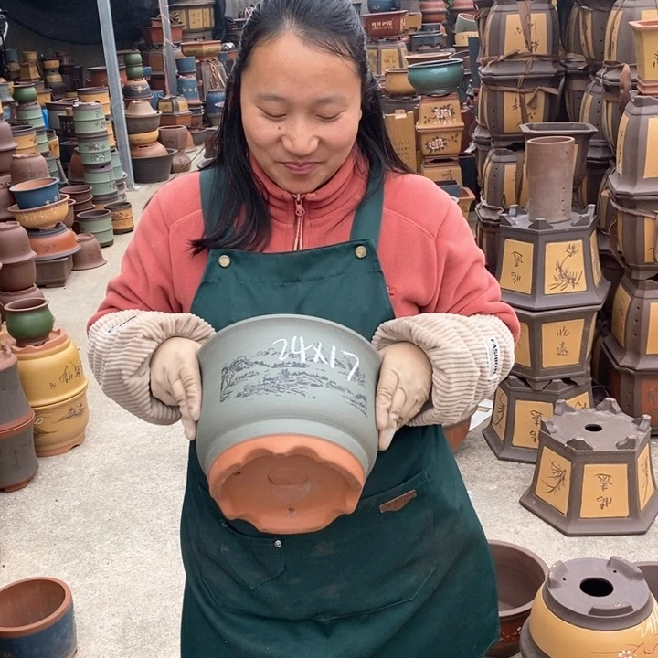 紫砂花盆盆栽花卉苗木种植