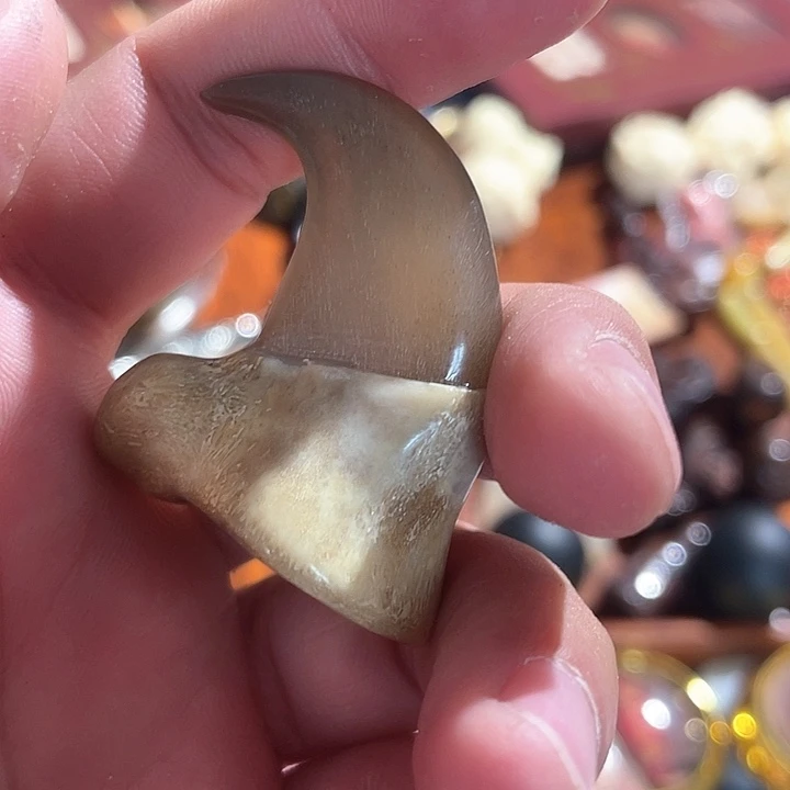 檀香紫檀（小叶紫檀）疯*