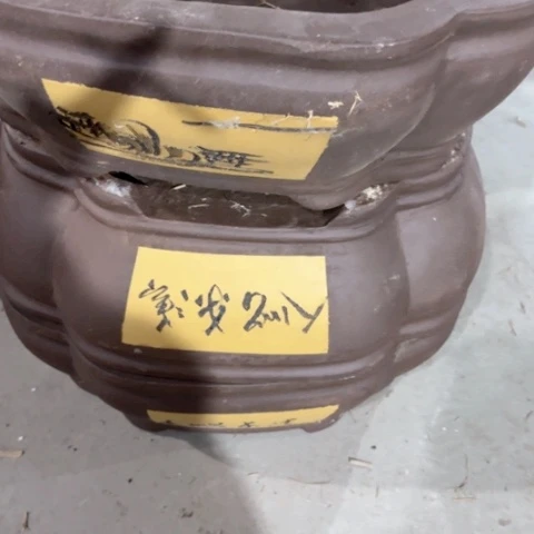 80-2。。   微瑕40-33-14