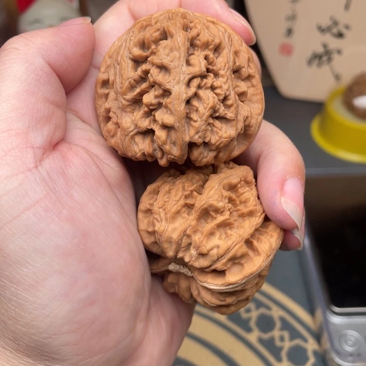 核桃47平谷大粗筋微修