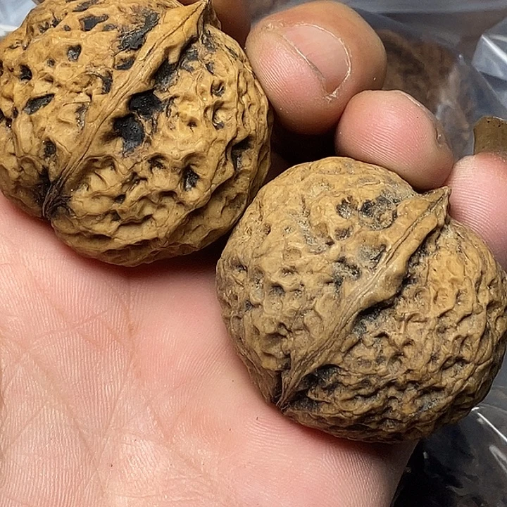 把件文玩核桃云南铁核桃103