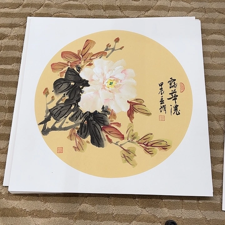 国画花鸟的翅膀和翅膀是50.50