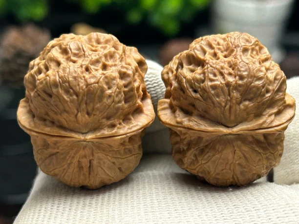 39mm元宝蟾 克重48