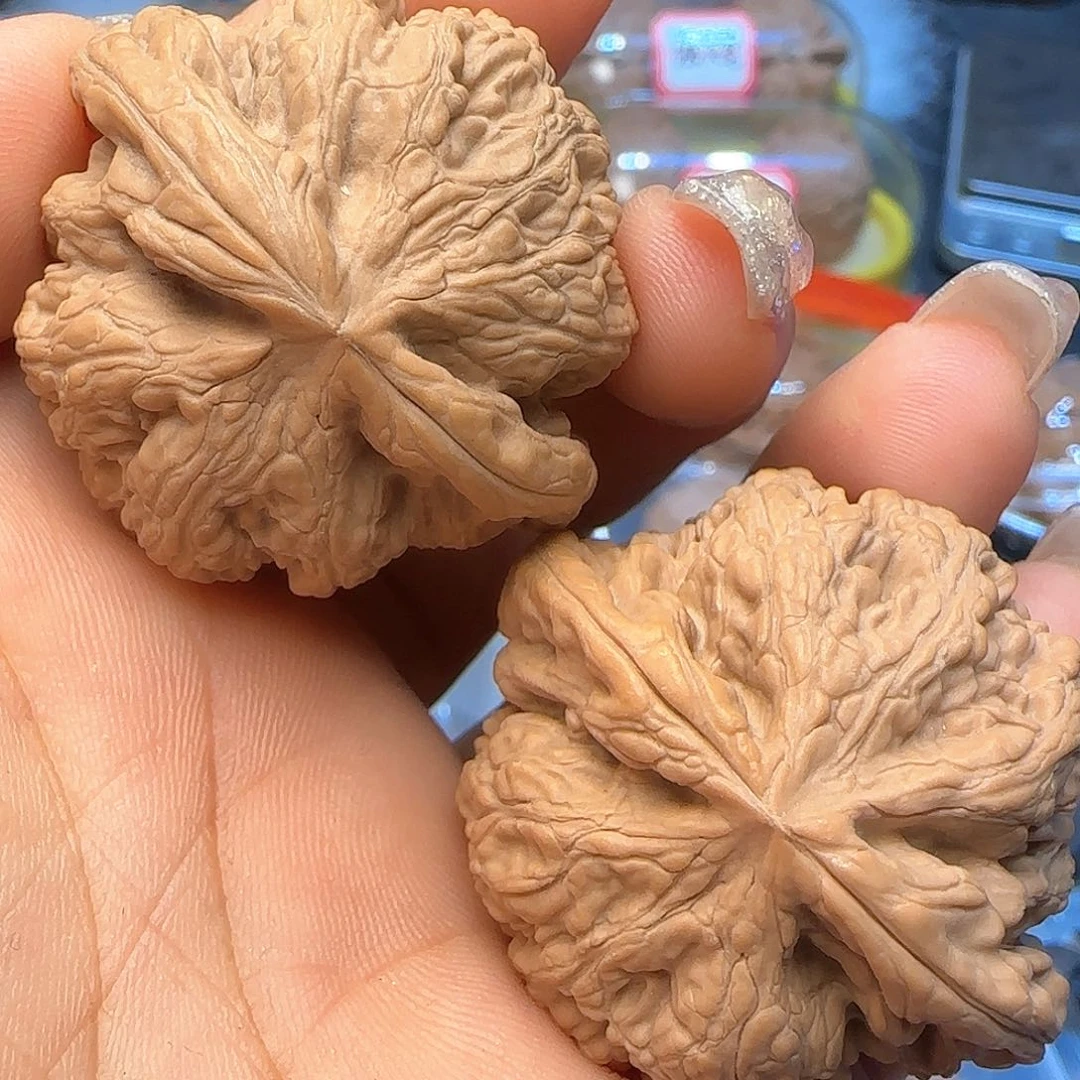 文玩核桃吊坠40全品粗筋