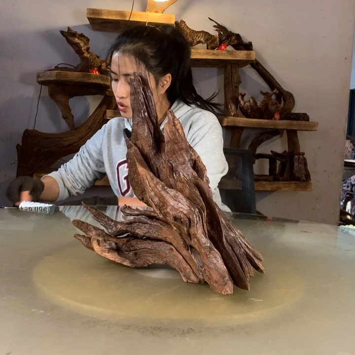 ****.天然的云南紫柚木会黄水