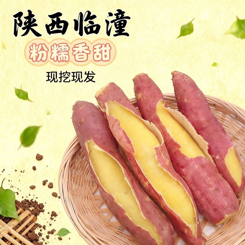 陕西临潼板栗红薯番薯5斤包邮