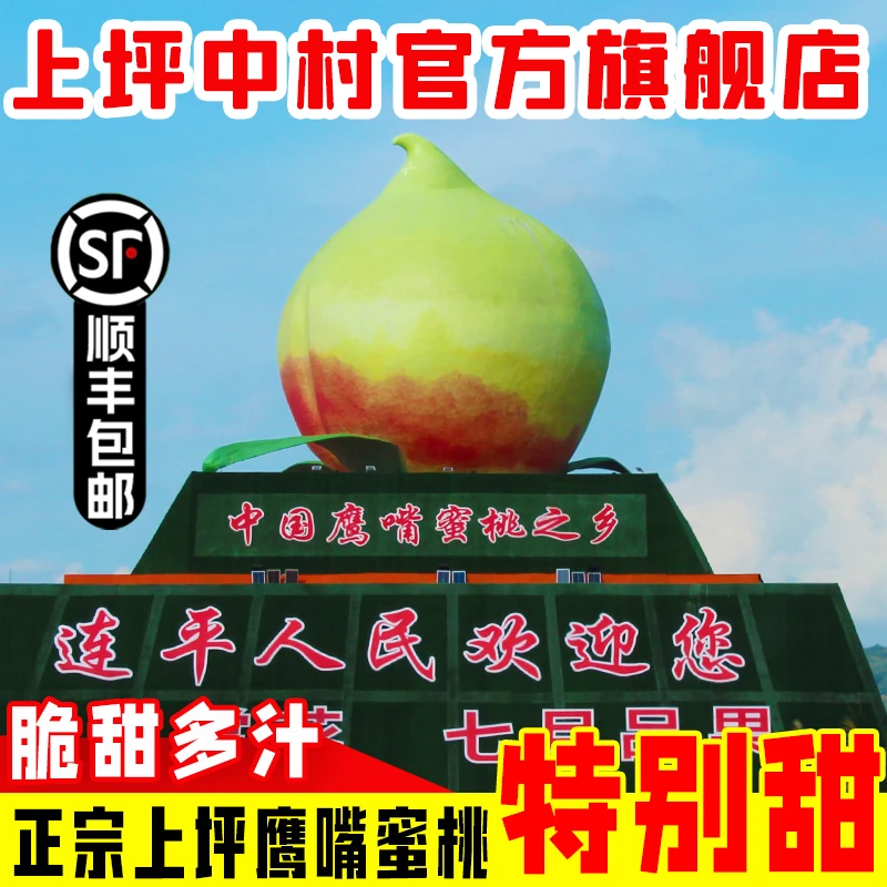 【广东省次日达】正宗广东河源连平鹰嘴桃桃子应季新鲜水果脆桃包邮