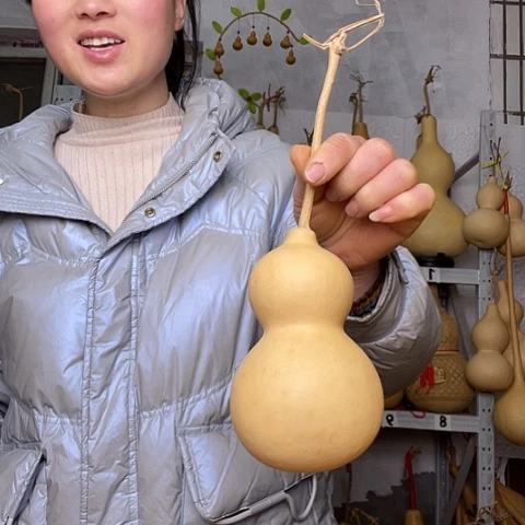 大*家天然植物葫芦文玩