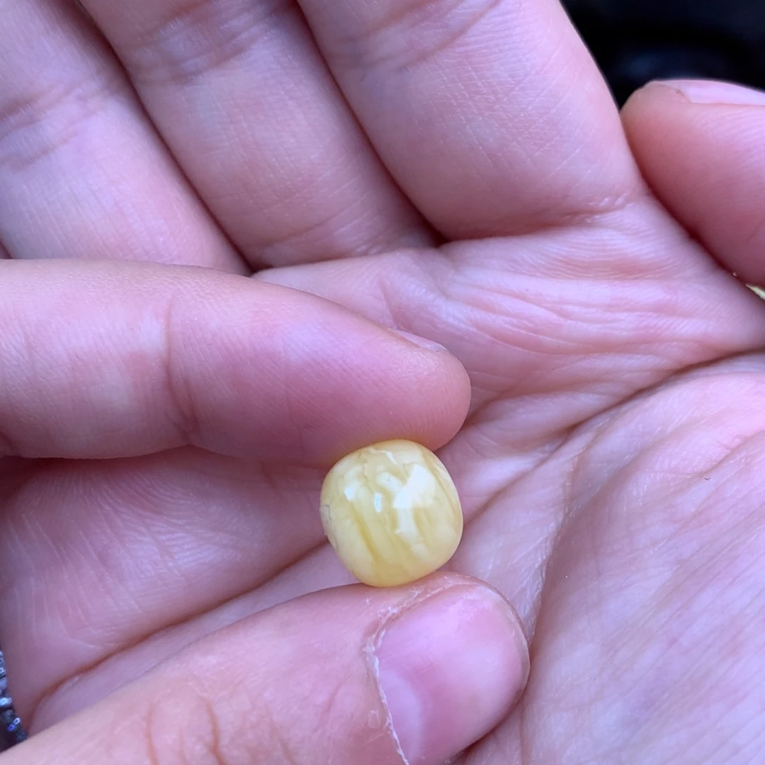 哈***尼琥珀未镶嵌裸石蜜蜡11