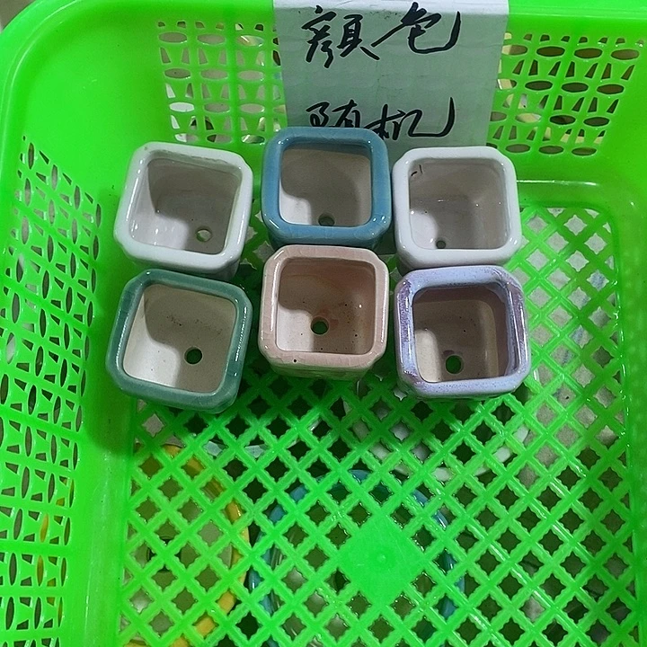 花盆抢购清货马上开始