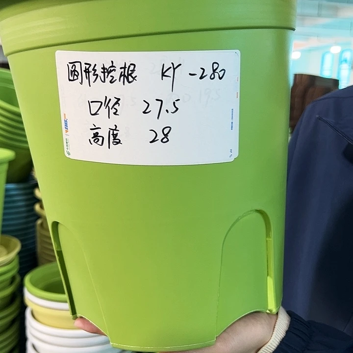 正品圆控口27.5高28果绿无托5只