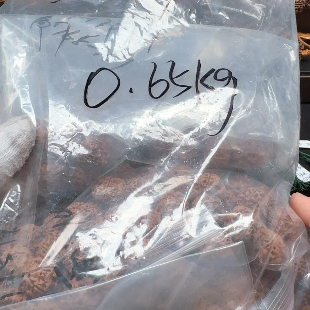 长***漫金刚菩提手串17散籽一包（批发不退不换）204号
