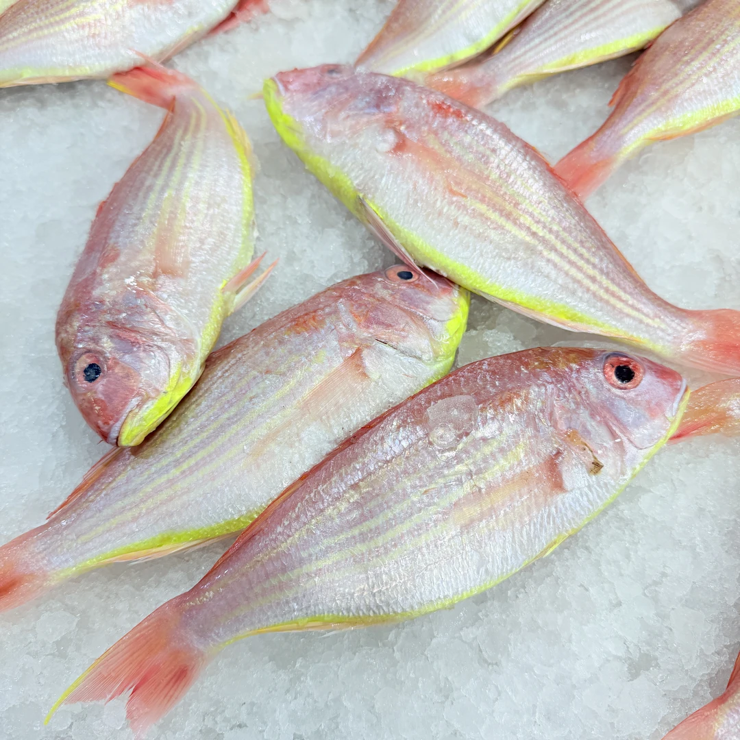 原条5-6条斤 新鲜红三鱼速冻发货 真空包装顺丰包邮 茂名博贺港