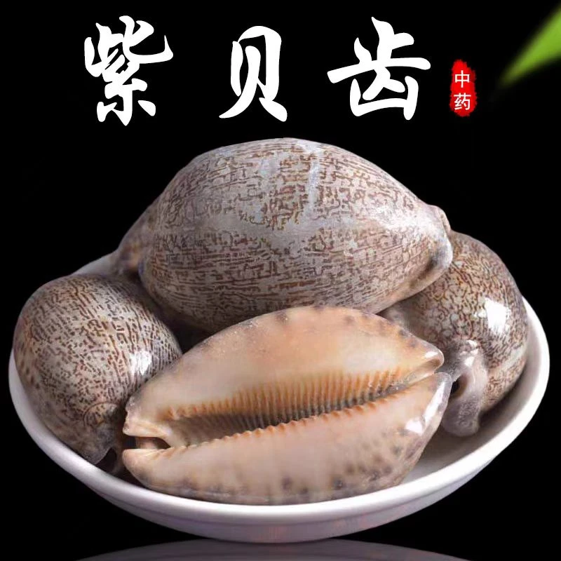 紫贝齿中药材紫贝齿新货文贝人工挑选正品紫贝齿南蛇牙齿可打粉