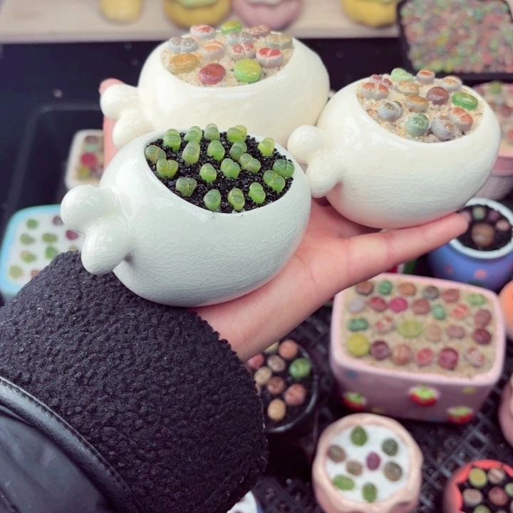 352零下地区记得拍保温箱满18包邮