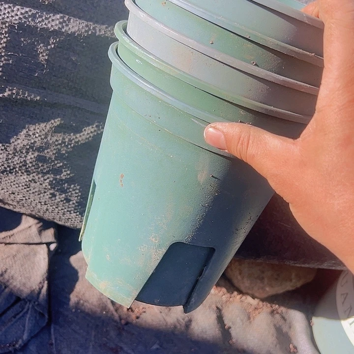 青山盆口径17.5高18发6个