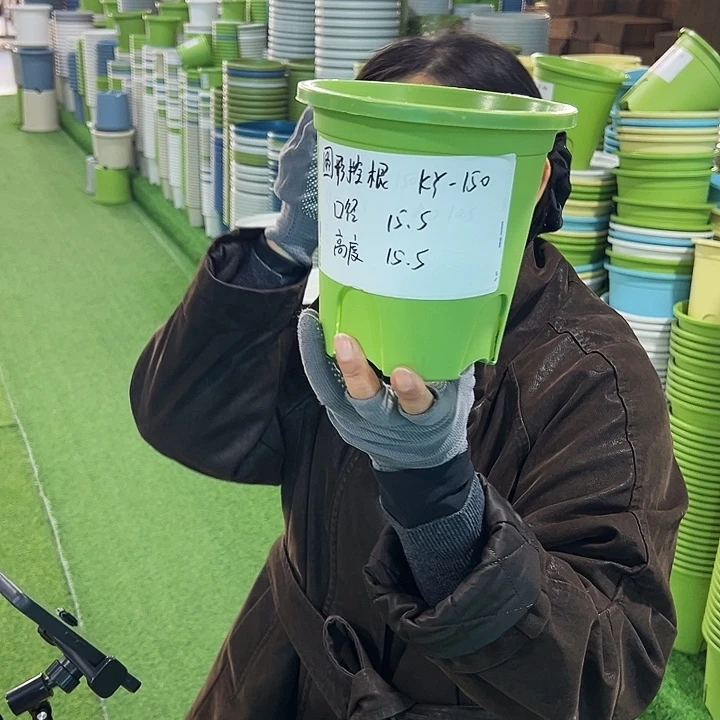 正品圆控口15高15果绿无托10只