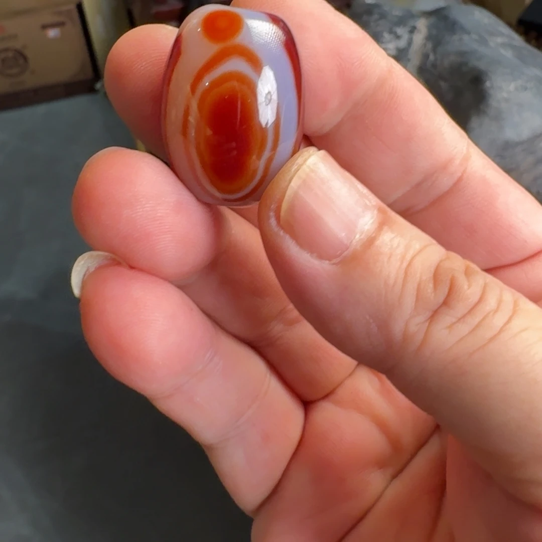 茶盏老任艺术生活粉丝专属