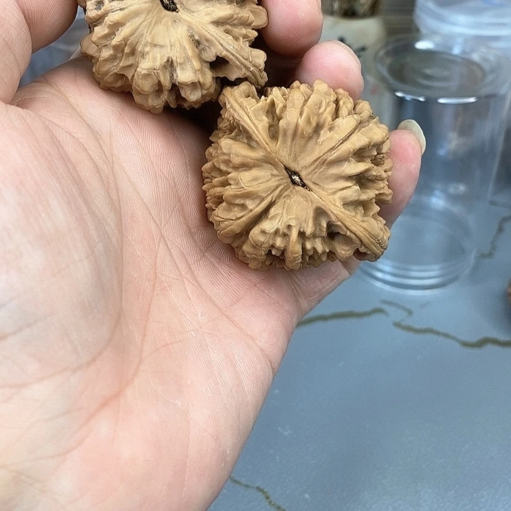 文玩核桃把件齐*生官帽