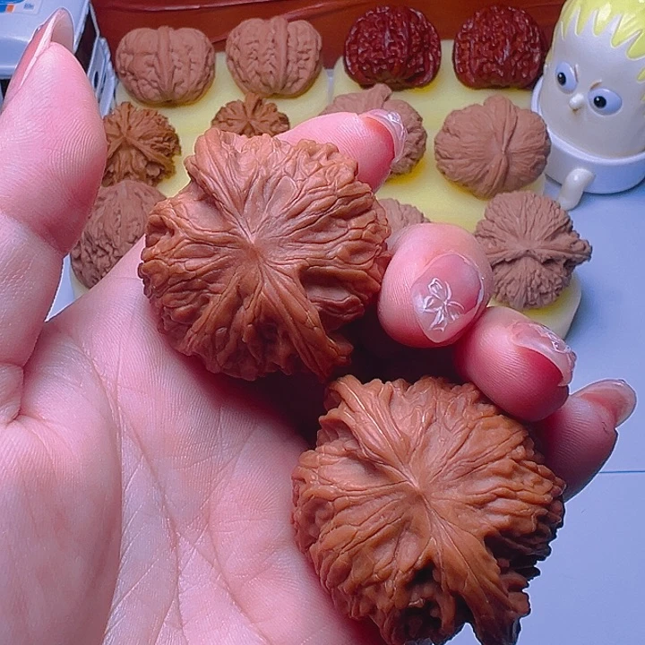 大叶紫檀（黑酸枝木类）无*