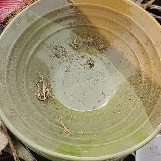 ～***d瓷发两个绿碗口径21