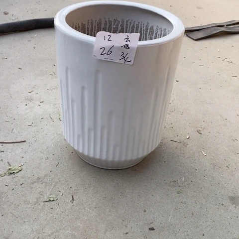 低腰白音符中 口26/34