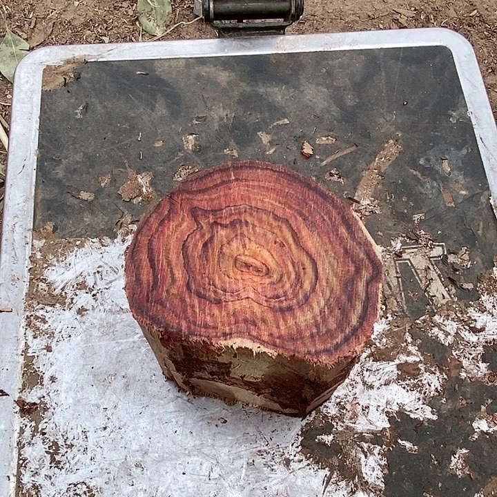 黄花梨/降香黄檀瀞676