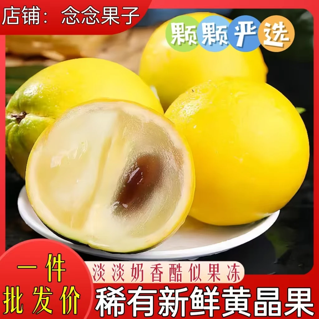 黄晶果新鲜水果【稀有水果】亚美果雅美果黄金果罕见热带水果直发