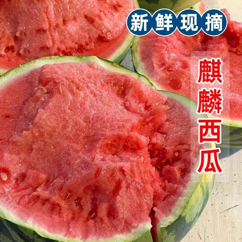麒麟瓜当季新鲜水果甘美薄皮美都8424大果现摘整箱包邮手撕小西瓜