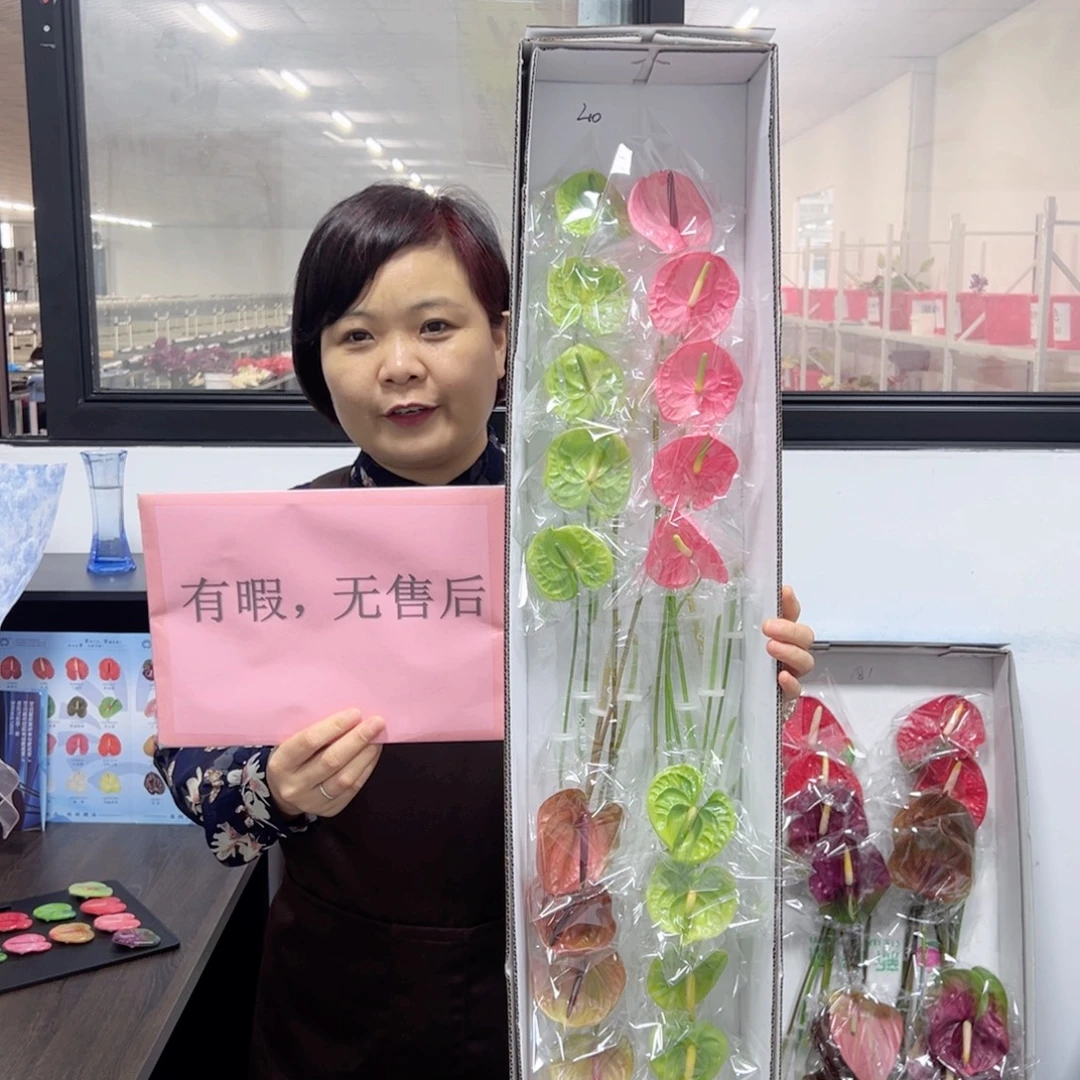 完全开放20枝混色迷你无售后款210