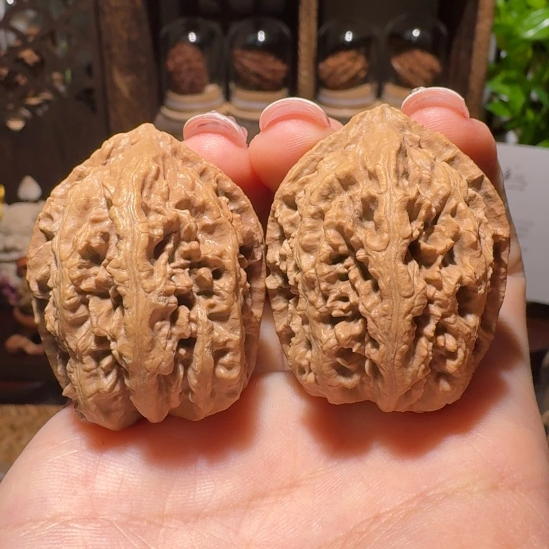 把件文玩核桃蚂蚁
