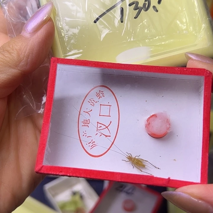 丑***车蟋蟀哈哈哈哈哈哈哈哈哈哈哈