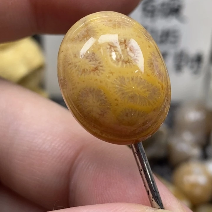 硅化珊瑚（珊瑚玉）未镶嵌颈饰