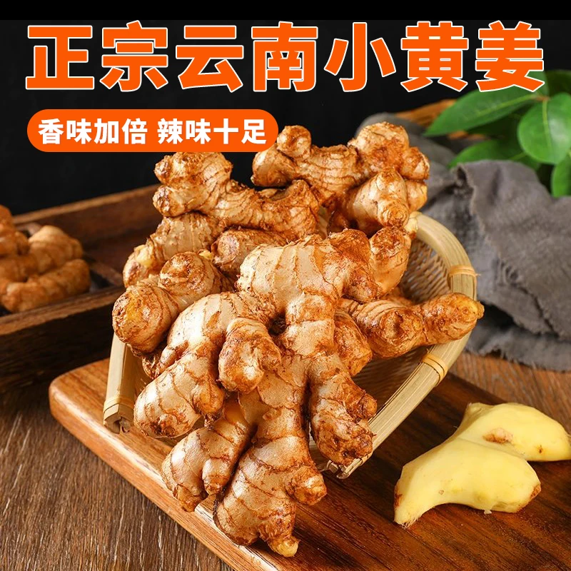 正宗云南小黄姜新鲜现挖姜香浓郁可作蔬菜调料老姜